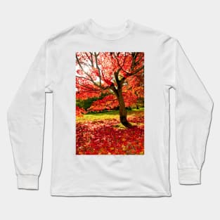 Autumn Acer Tree Westonbirt Arboretum Cotswolds Gloucestershire Long Sleeve T-Shirt